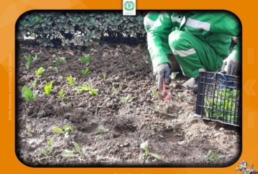 کاشت گل فصلی و زیباسازی میادین و بلوارهای سطح شهر