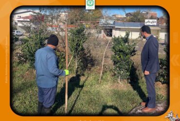 نظارت در خدمات رسانی هرچه بهتر به همشهریان