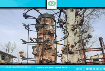 ایده جان بخشیدن دوباره به درختان خشکیده