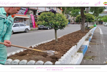 کاشت گل فصلی ، پاکسازی و زیباسازی بلوارهای سطح شهر