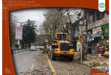 اجرای طرح هرس و شاخه زنی درختان چنار شهر