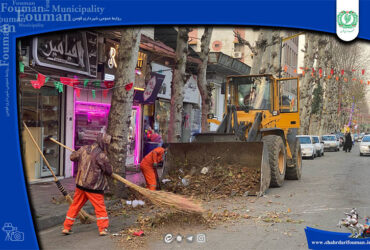 اجرای طرح هرس و شاخه زنی درختان چنار شهر